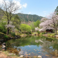 복숭아 정원 연못