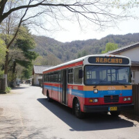 대중교통