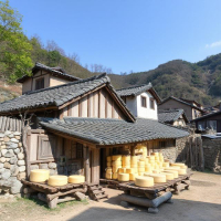 임실