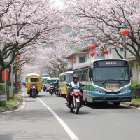 지도